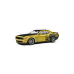 Dodge Challenger RT Scat Pack Widebody Street Fighter Goldrush 2020-2